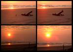 (17) dawn montage (day 5 - backup).jpg    (1000x720)    203 KB                              click to see enlarged picture